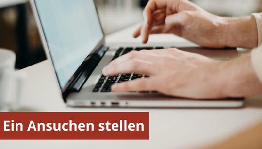 Ansuchen Schulentwicklungsberatung